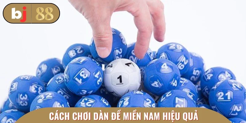 Cẩm nang tạo dàn đề miền Nam nhanh chóng, chuẩn xác