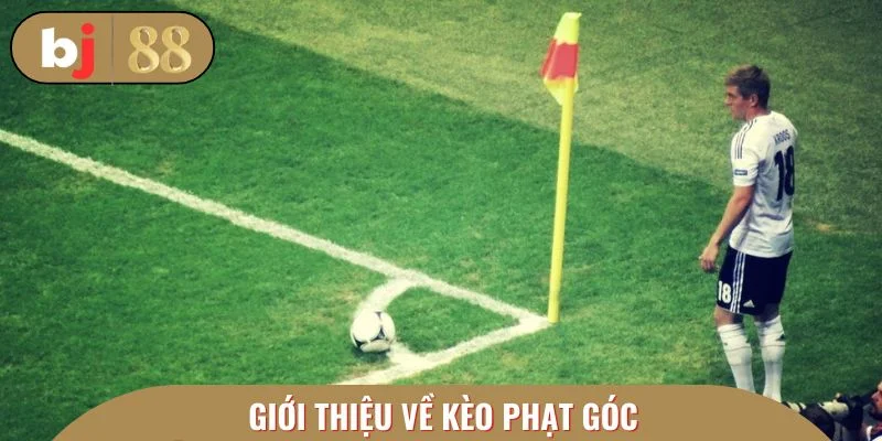 Giới thiệu về kèo phạt góc dành cho ai chưa biết