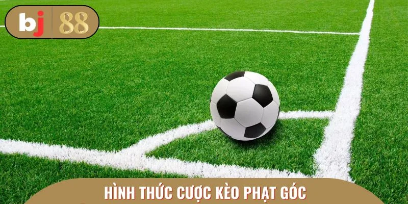 4 hình thức tín đồ cá cược thường thấy khi cá cược