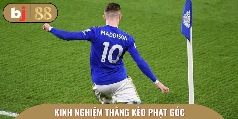 Xem xét đánh giá về thế trận dự kiến